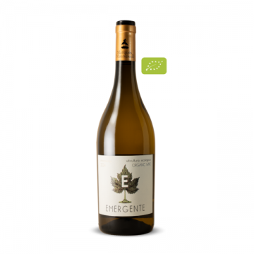 Marques de montecierzo ermegente chardonnay